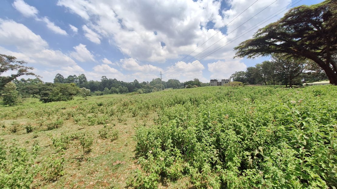 Land For Sale in Kikuyu