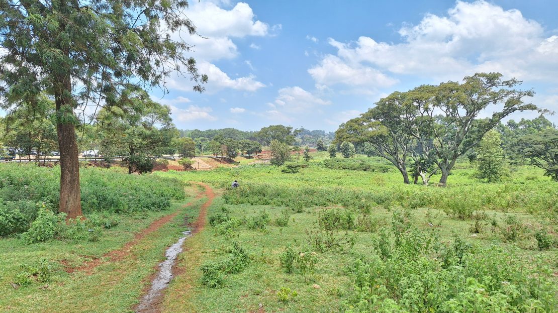 Land For Sale Kikuyu