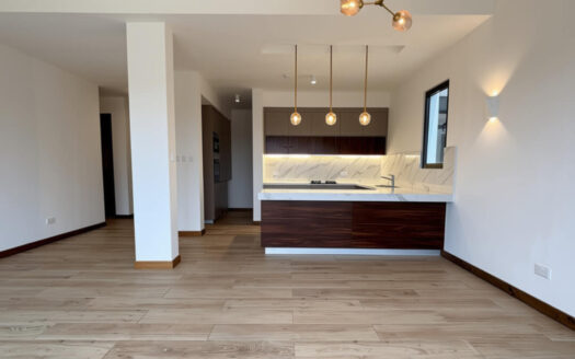 2 Bedroom Apartment Two Rivers Ruaka
